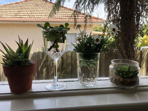 Growse House Yarram 3BR - Northern Rivers Accommodation 10