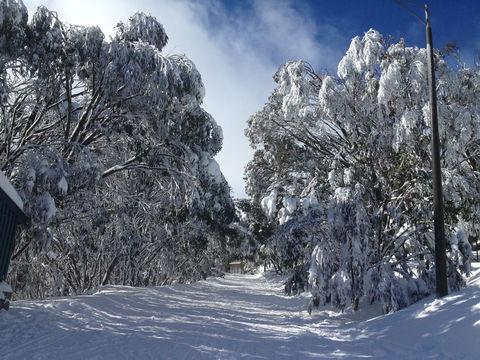 Maisonettes Falls Creek - Northern Rivers Accommodation 17