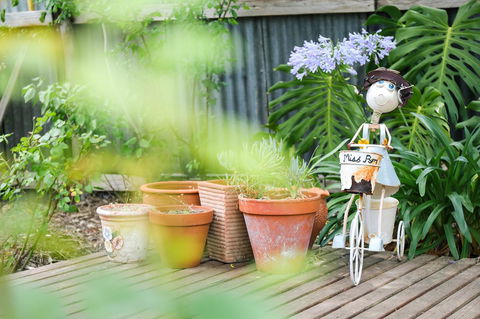 Miss Pym's Cottage - Northern Rivers Accommodation 7