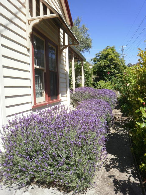 Miss Pym's Cottage - Northern Rivers Accommodation 44