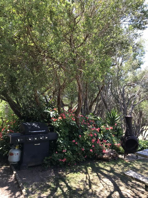 The Fingal Farm - Northern Rivers Accommodation 24
