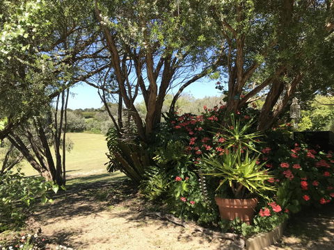 The Fingal Farm - Northern Rivers Accommodation 9