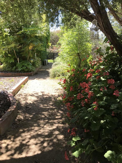 The Fingal Farm - Northern Rivers Accommodation 19