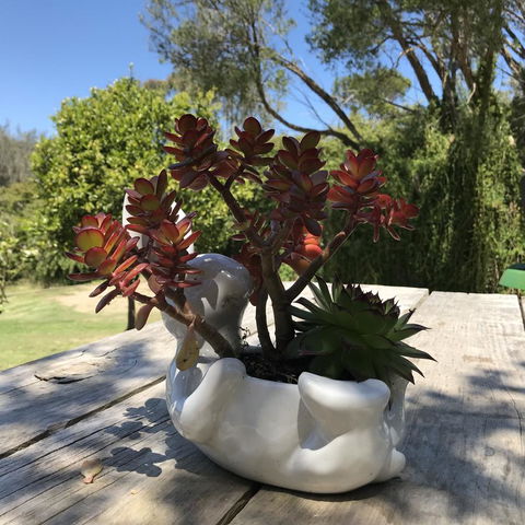 The Fingal Farm - Northern Rivers Accommodation 30