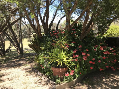 The Fingal Farm - Northern Rivers Accommodation 33
