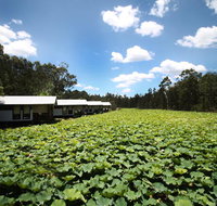 The Boathouses at Leaves  Fishes - Northern Rivers Accommodation