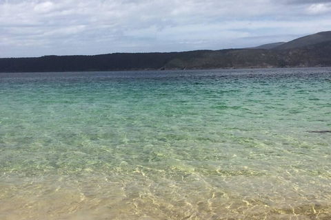 The Cove... On The Rocks At Port Arthur - Northern Rivers Accommodation 1