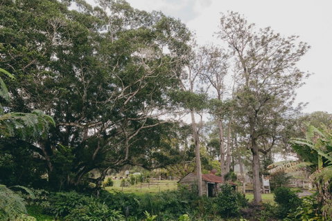 The Eumundi Dairy - Northern Rivers Accommodation 1