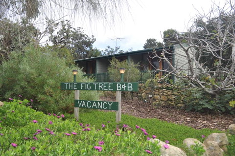 The Fig Tree B&B - Northern Rivers Accommodation 0
