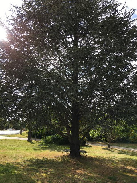 The Glasshouse Boutique Accommodation - Northern Rivers Accommodation 3