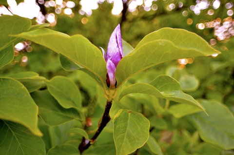 The Glasshouse Boutique Accommodation - Northern Rivers Accommodation 2