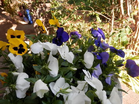 The Hideaway Luxury B&B Retreat - Northern Rivers Accommodation 1