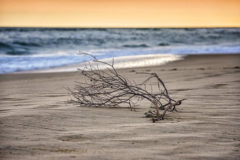 The Lakes Beachfront Holiday Park - Northern Rivers Accommodation 2