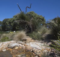 The Lakes Beachfront Holiday Park - Northern Rivers Accommodation