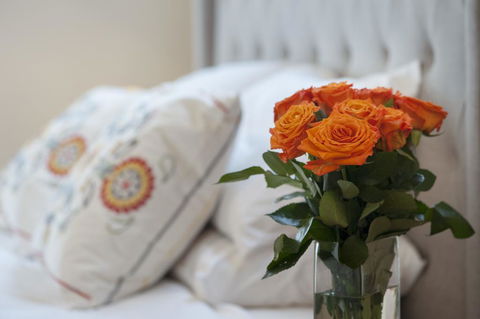 The Nest At Gundaroo - Northern Rivers Accommodation 1