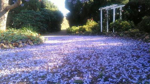 The Old Church Bed And Breakfast - Northern Rivers Accommodation 2