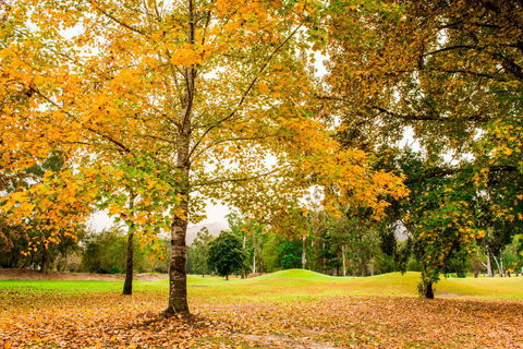 The Retreat At Wisemans - Northern Rivers Accommodation 1