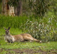 The Stirling Golf Club - Northern Rivers Accommodation