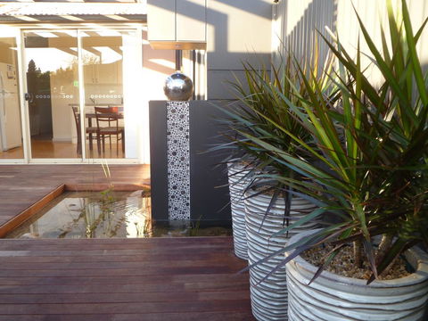 The Wet Lizard - Northern Rivers Accommodation 0