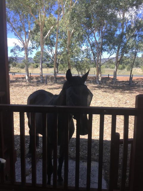Thie My Chree Retreat - Northern Rivers Accommodation 3
