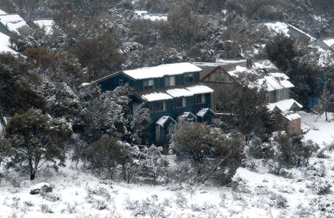 Three Bears 3 - Northern Rivers Accommodation 1