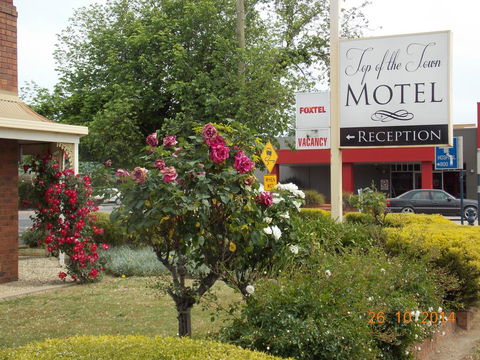 Top Of The Town Motel - Northern Rivers Accommodation 3