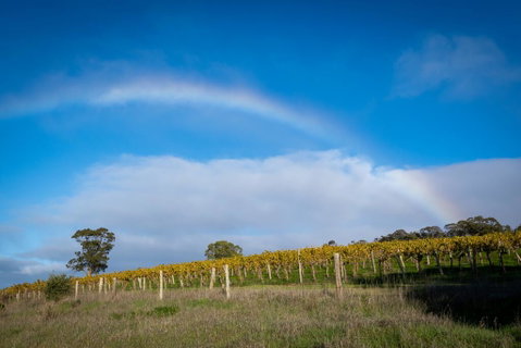 Triple Creek Guest House - Barossa Region - Northern Rivers Accommodation 2
