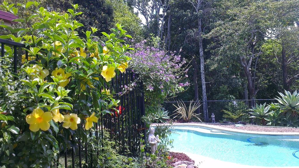 Duranbah NSW Northern Rivers Accommodation