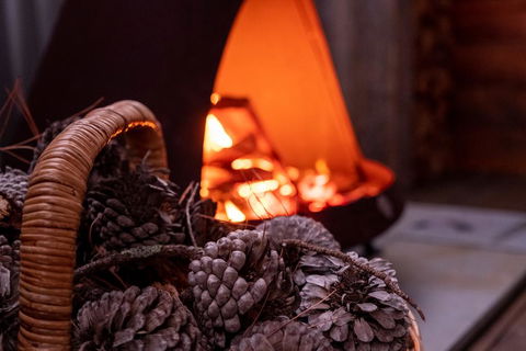 Tully Cottage B&B - Northern Rivers Accommodation 2