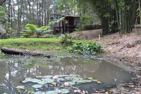 Turmeric Gardens - Northern Rivers Accommodation 3