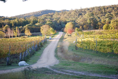 Twisted Gum Vineyard Cottage - Northern Rivers Accommodation 1