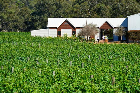 Upper Reach Spa Cottage - Northern Rivers Accommodation 0