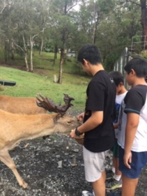 Villa Cervi Property - Northern Rivers Accommodation 3