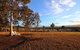 Vineyard Hill Resort - thumb 1