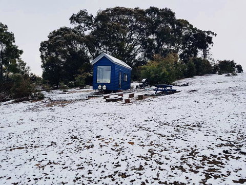 Walden Tiny House - Northern Rivers Accommodation 2