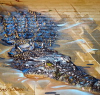 Walkabout Lodge - Northern Rivers Accommodation
