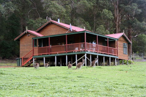 Walpole Wilderness Resort - Northern Rivers Accommodation 1