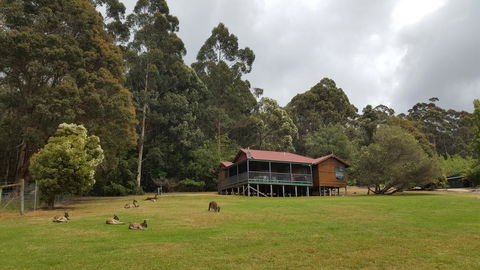 Walpole Wilderness Resort - Northern Rivers Accommodation 0