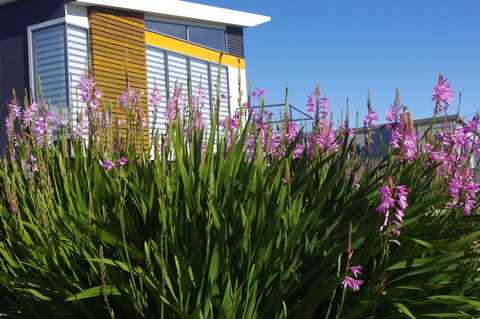 Watercolours - Northern Rivers Accommodation 1