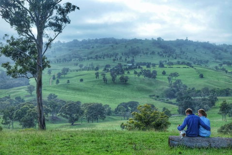 Waterfall Way Farmstay - Northern Rivers Accommodation 2