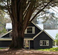 The Orchard - Northern Rivers Accommodation