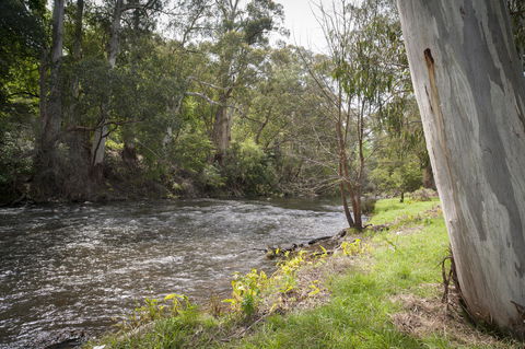 Oscar\'s On The Yarra - Northern Rivers Accommodation 23