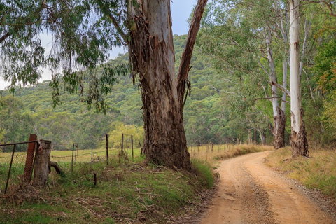 Alpine Aspects - Northern Rivers Accommodation 10