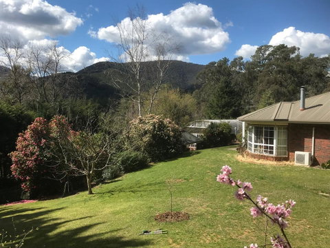 Alpine Aspects - Northern Rivers Accommodation 23