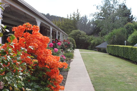 Alpine Aspects - Northern Rivers Accommodation 34