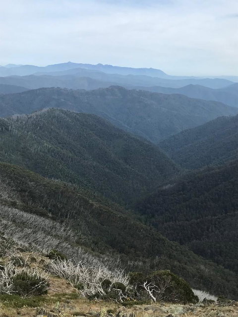 Alpine Aspects - Northern Rivers Accommodation 9