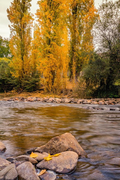 Alpine Aspects - Northern Rivers Accommodation 6