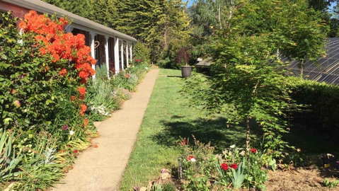 Alpine Aspects - Northern Rivers Accommodation 4
