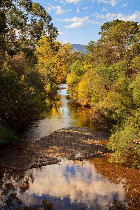 Alpine Aspects - Northern Rivers Accommodation 31