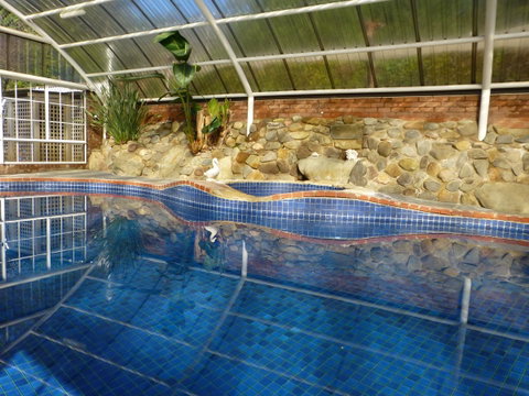 Alpine Aspects - Northern Rivers Accommodation 39